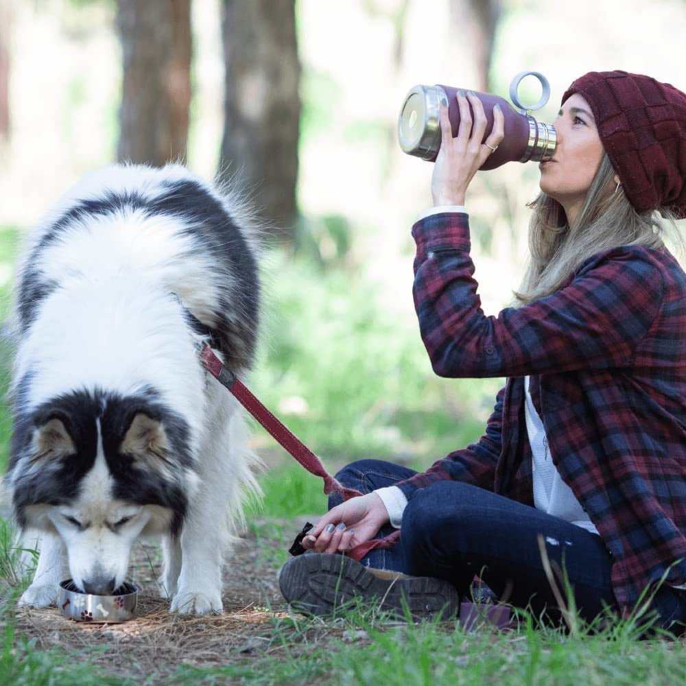 Dog Bowl Attached to Stainless Steel Insulated Travel Bottle